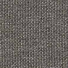 FAST swatch