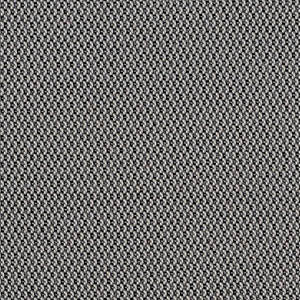 FAST swatch