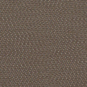 FAST swatch