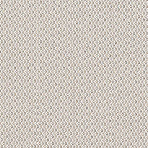 FAST swatch