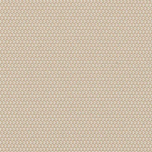 FAST swatch