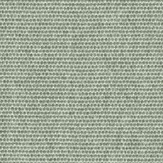 FAST swatch
