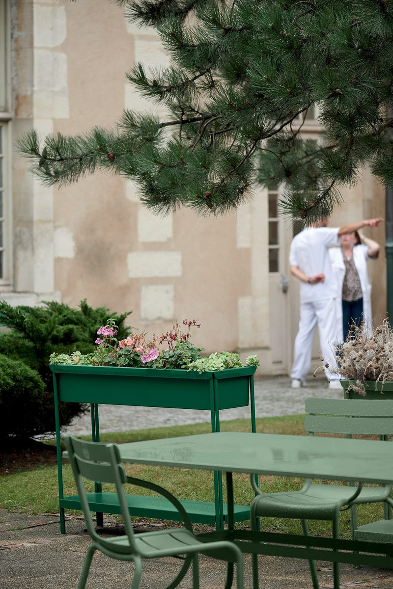 LUXEMBOURG_ROMANE_CACTUS_TERRAZZA_CEDRE_INVALIDES_ALBUM2022_SEBASTIEN_EROME_BD.jpg