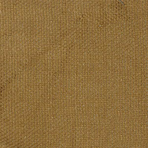 FAST swatch