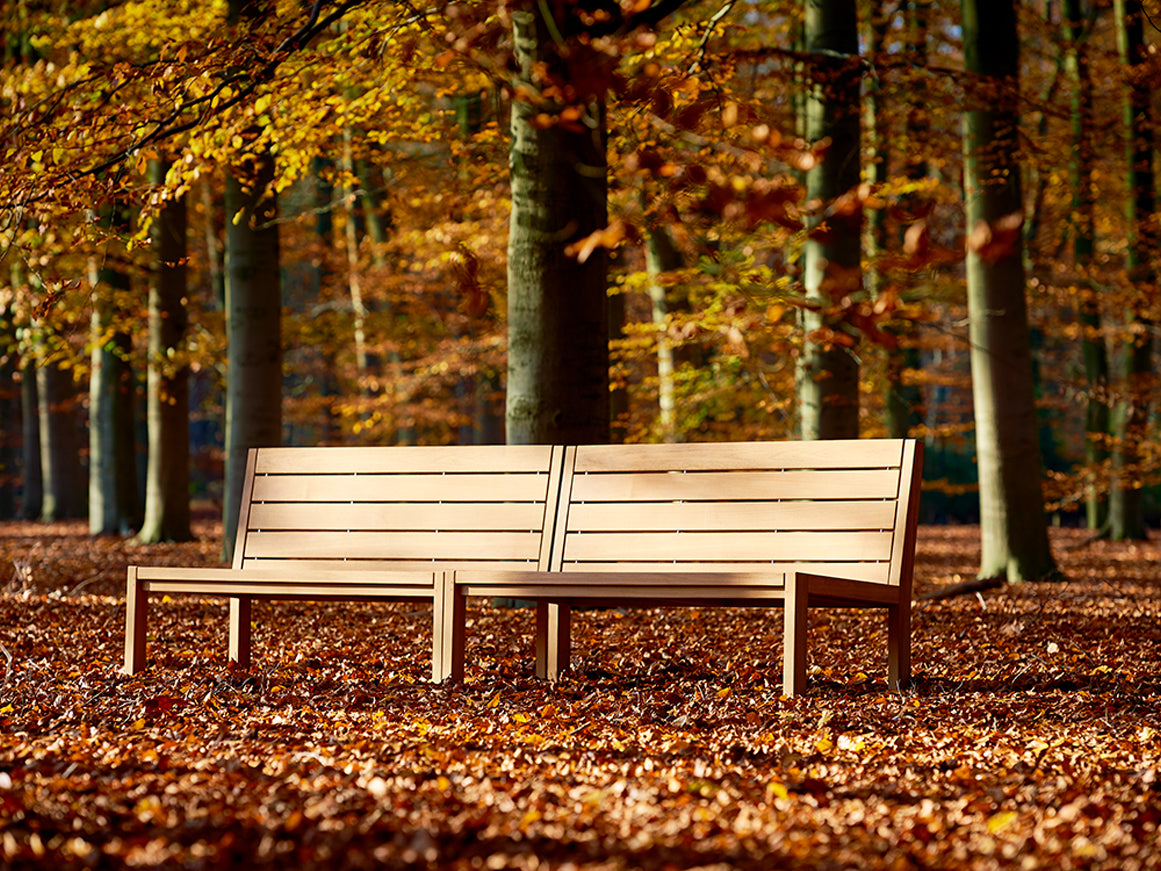 Maxima Bench