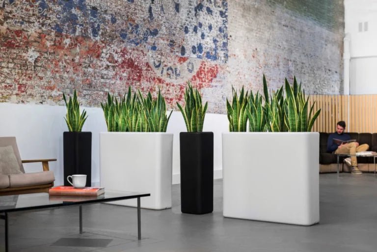 Outdoor Styling