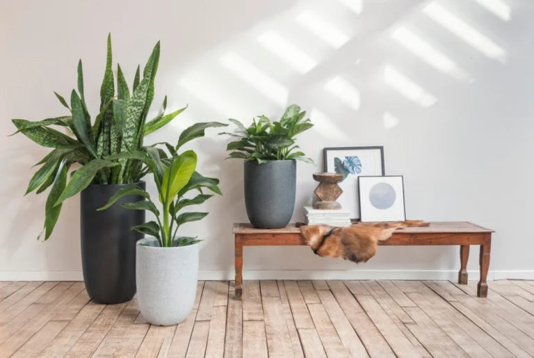 Outdoor Styling