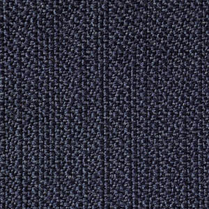 FAST swatch