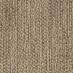 FAST swatch