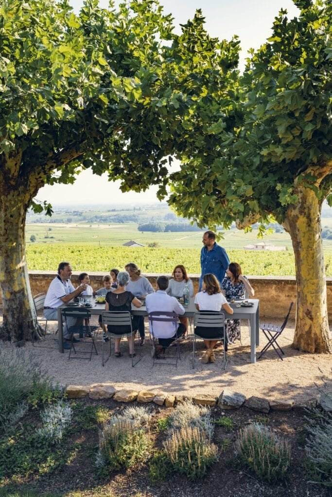 RIBAMBELLE_GRIS_ORAGE_VIGNES_ALBUM2019_JEROME_GALLAND-min-1-683x1024-1.jpg