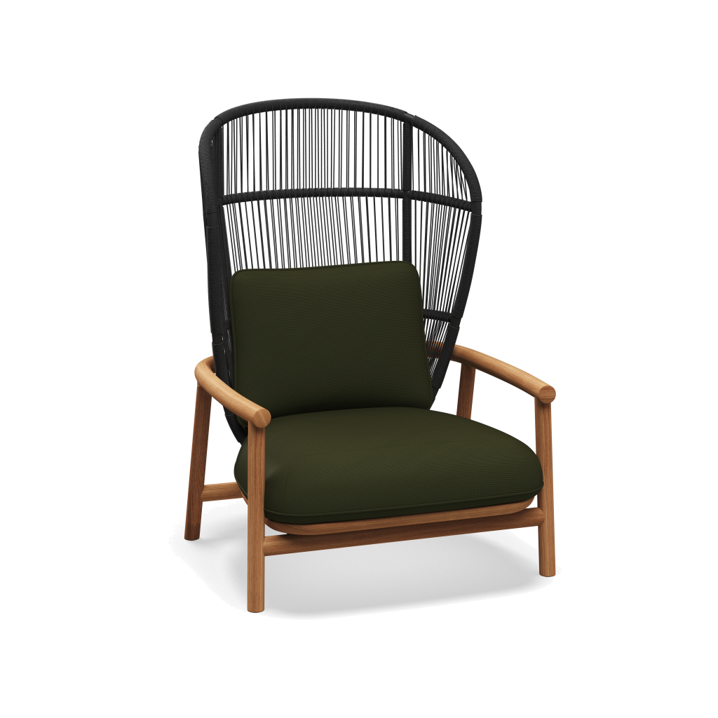 Fern High Back Lounge Chair — Meteor Raven met Fife Olive