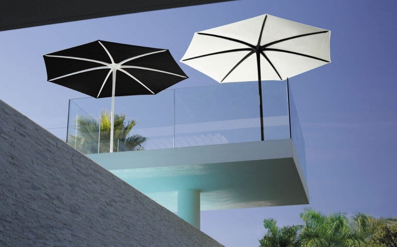 Royal-Botania-Palma-Wit-zwart-zwart-wit-1024x638