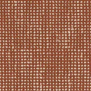 FAST swatch
