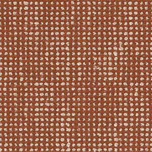 FAST swatch