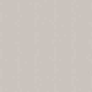 FAST swatch