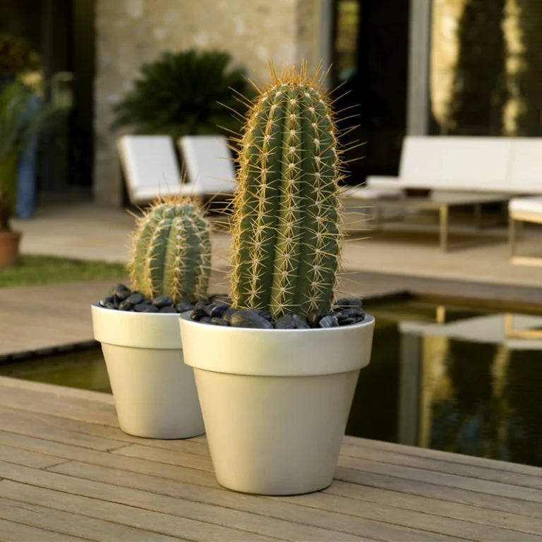 Outdoor Styling