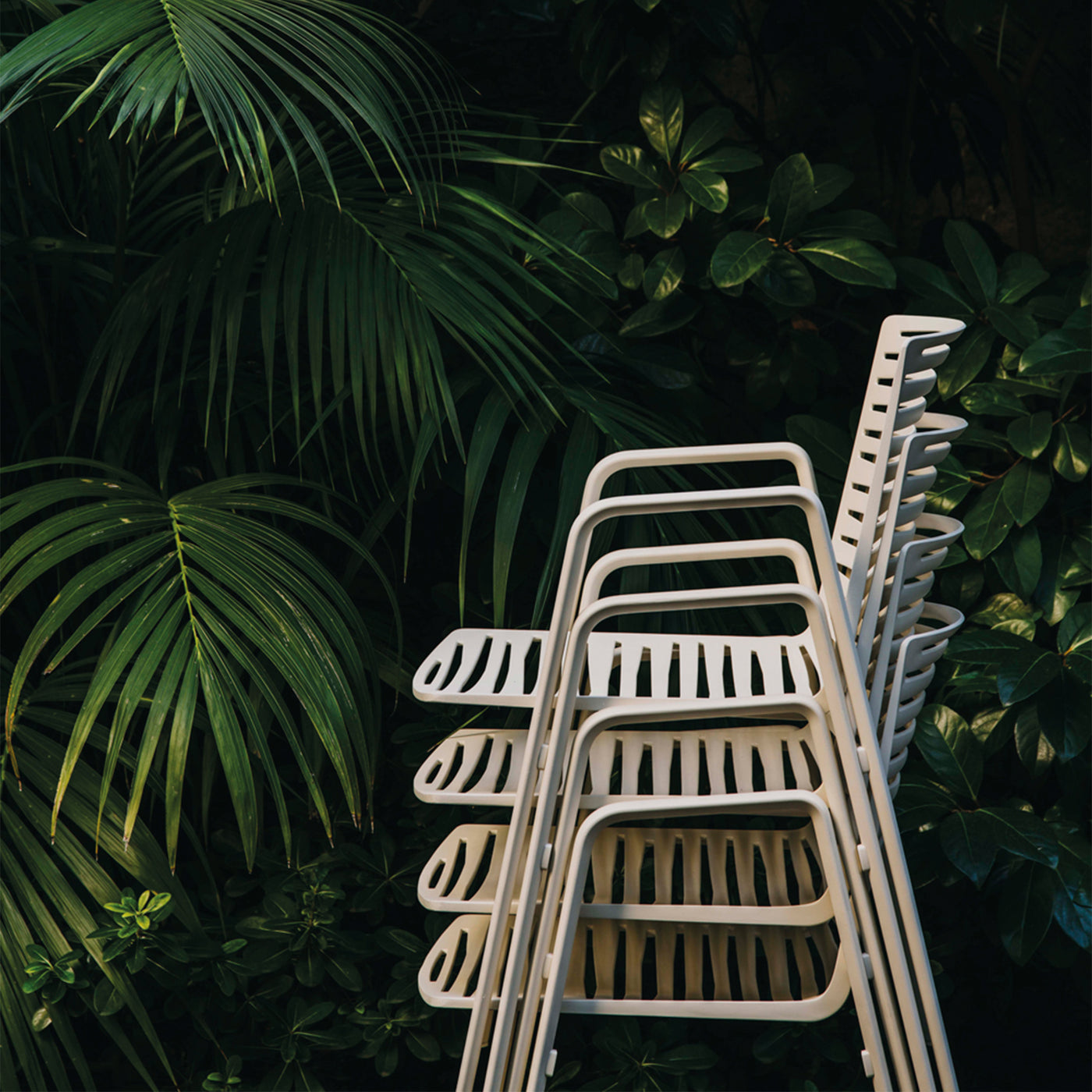 Zebra – Chair with Armrests sfeerbeeld