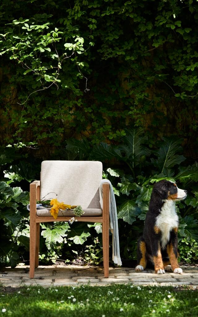 ZENHIT-55-DINING-CHAIR-5-640x1024