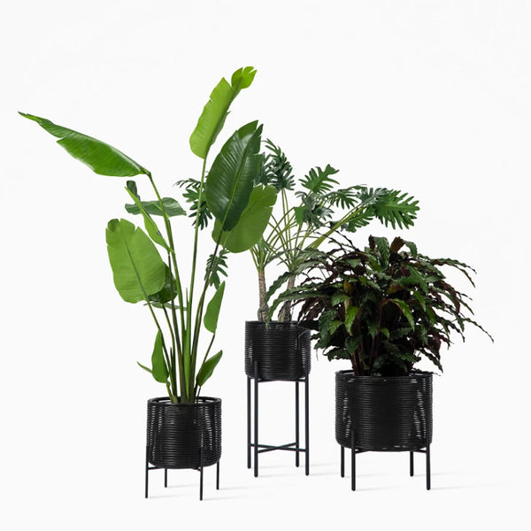 Ivo Plant Stand Large