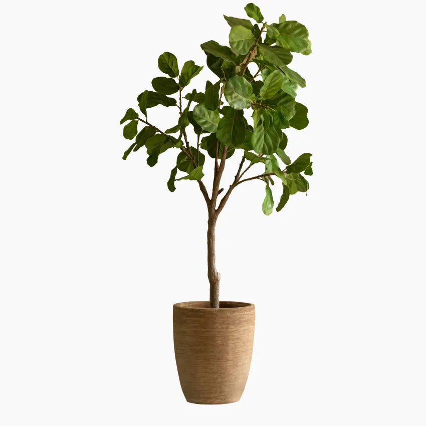 Saya Plant Pot Oval Set