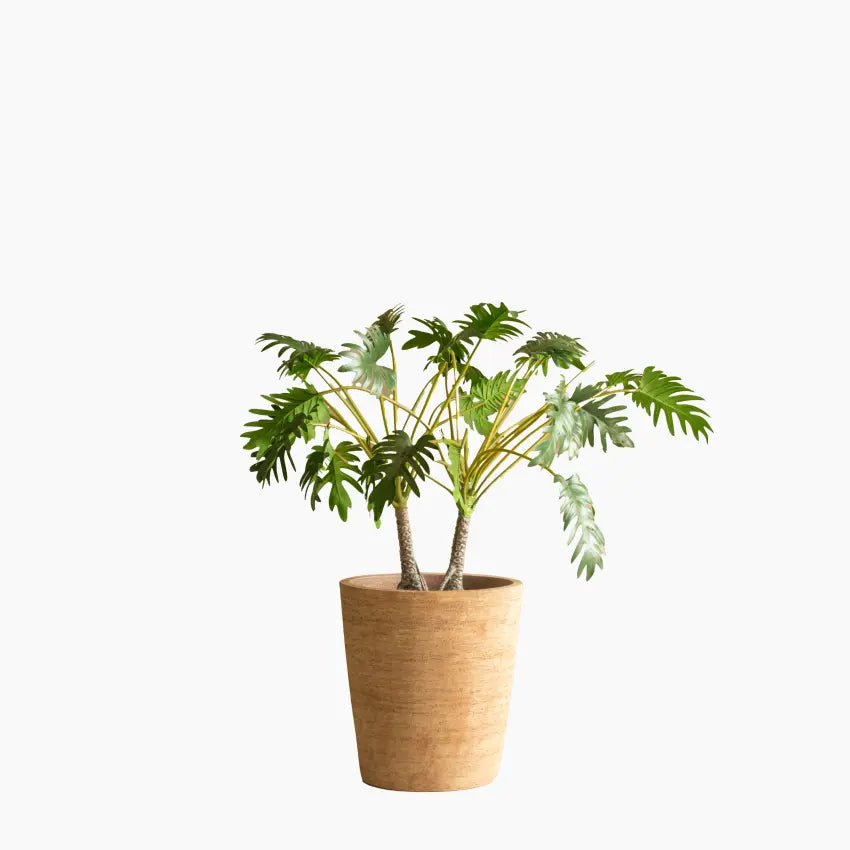 Saya Plant Pot Conic Set
