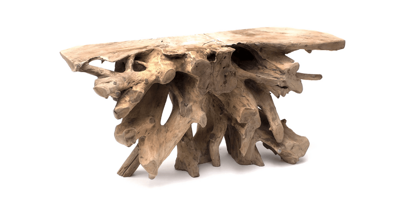 Root Console