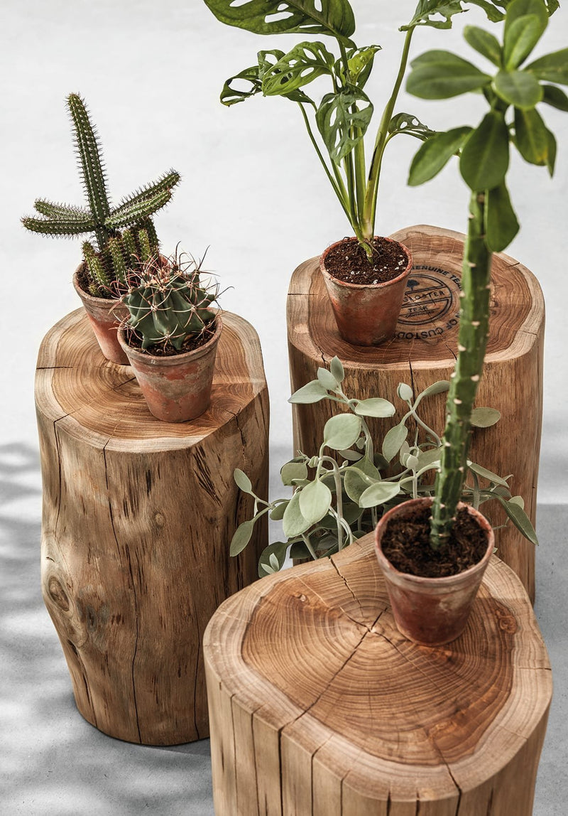 raw-logs-1.jpg