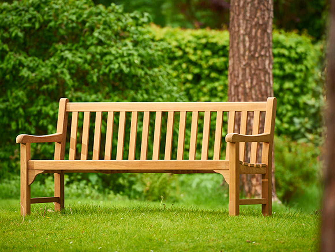Sarah Bench