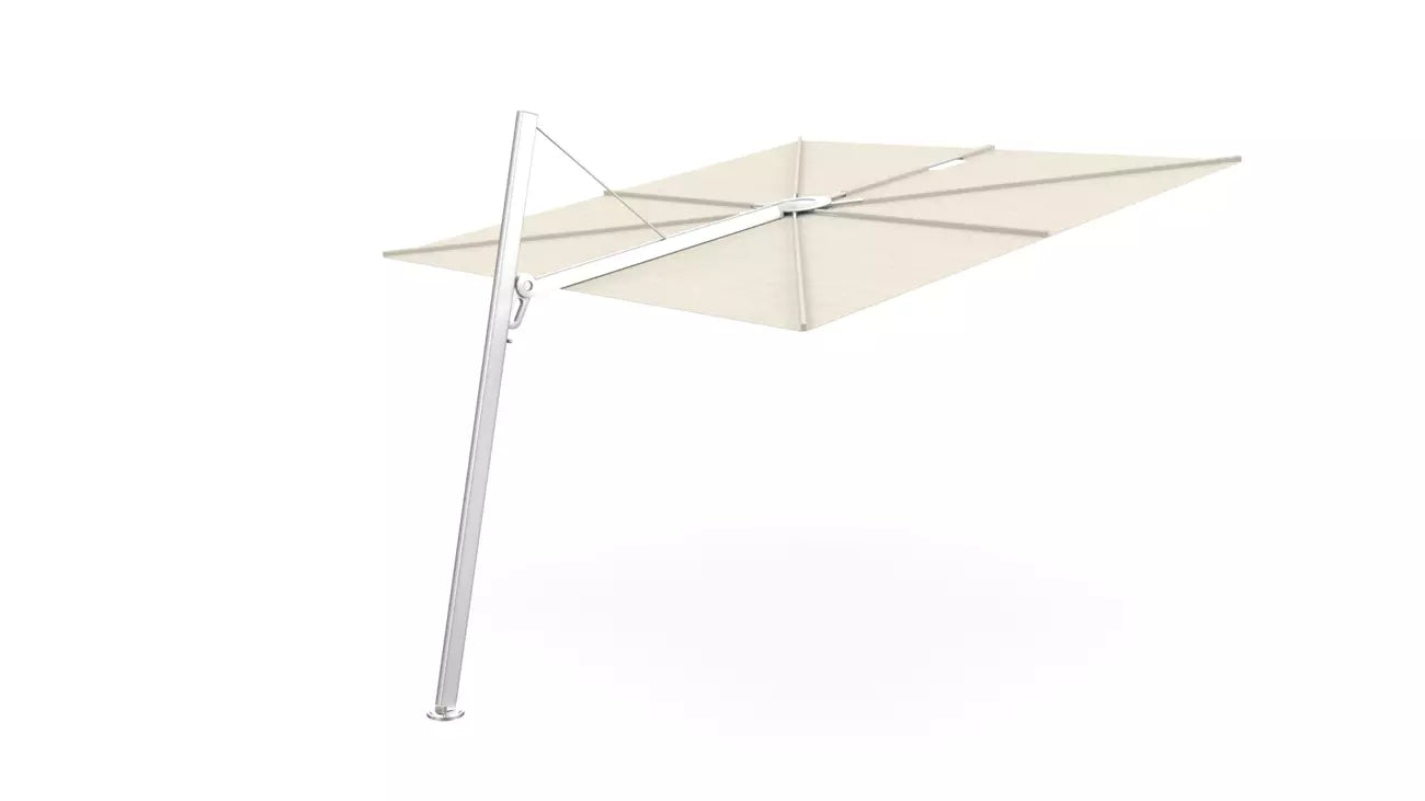Umbrosa spectra 80 fw