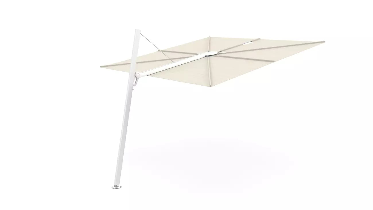 Umbrosa spectra 80 fw