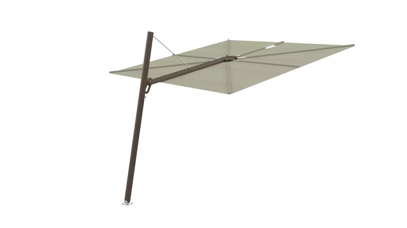Umbrosa spectra 80 fw