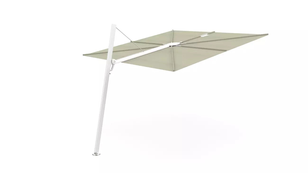 Umbrosa spectra 80 fw