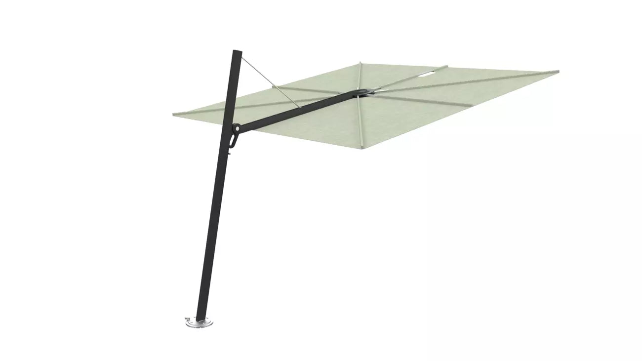 Umbrosa spectra 80 fw