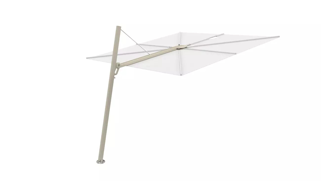 Umbrosa spectra 80 fw