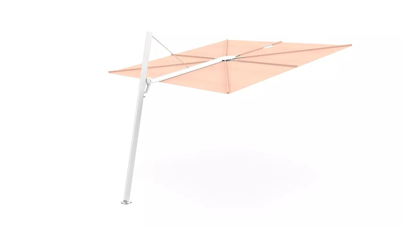 Umbrosa spectra 80 fw