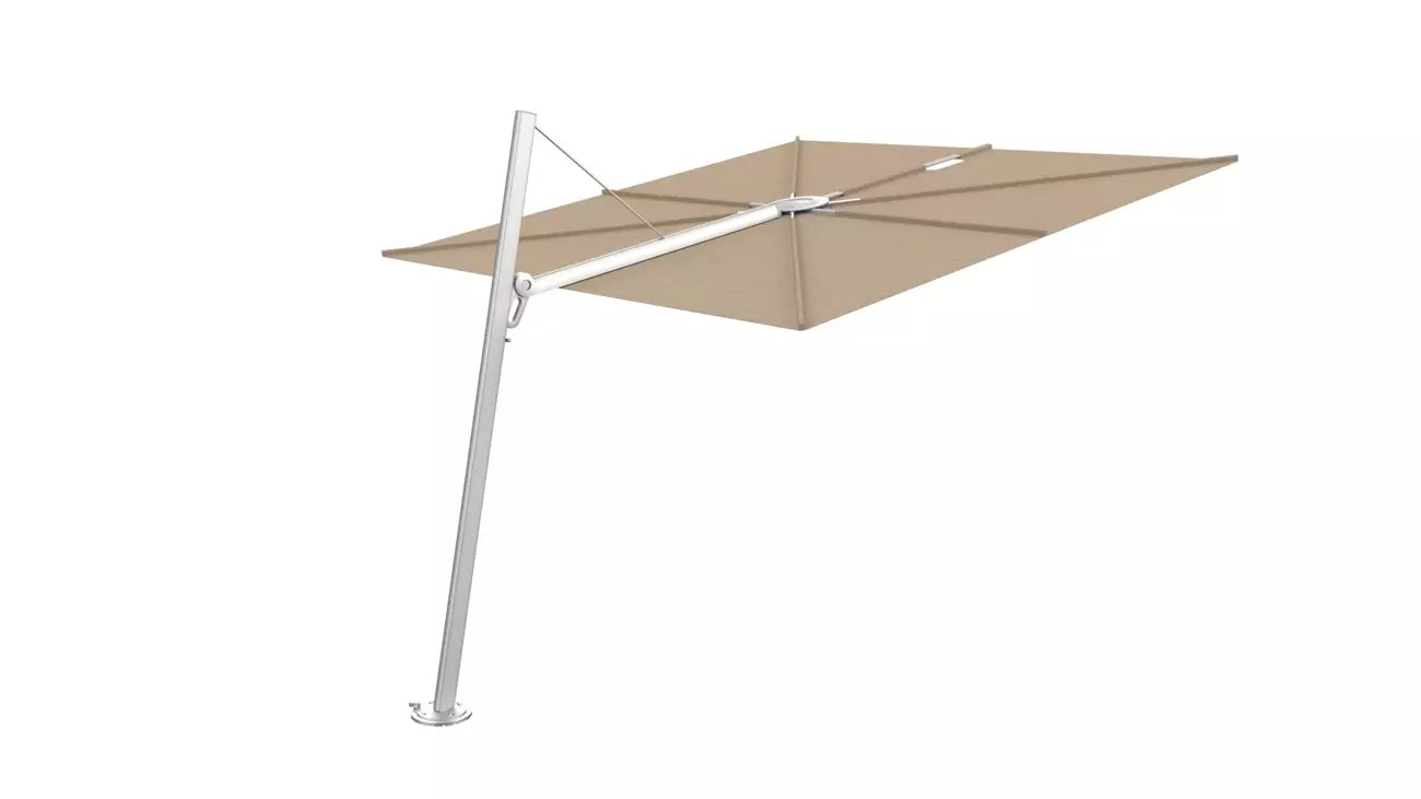 Umbrosa spectra 80 fw