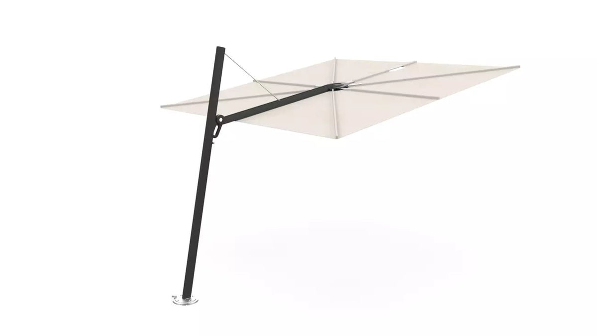 Umbrosa spectra 80 fw