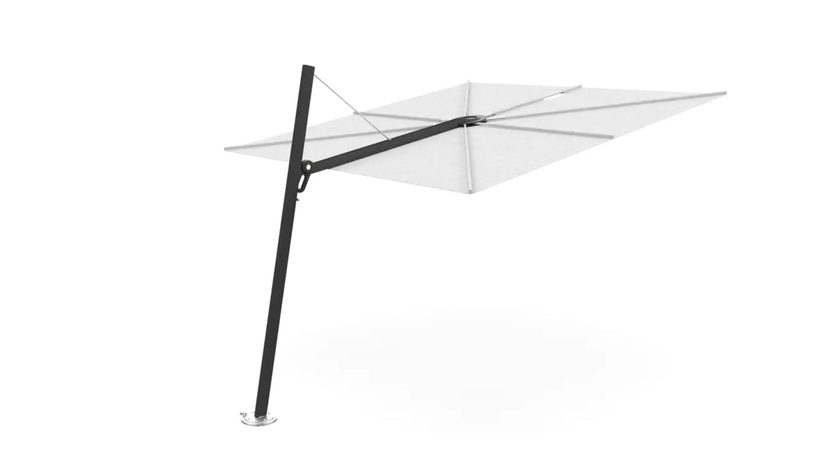 Umbrosa spectra 80 fw
