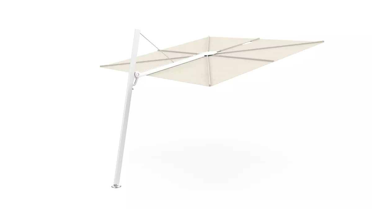 Umbrosa spectra 80 fw