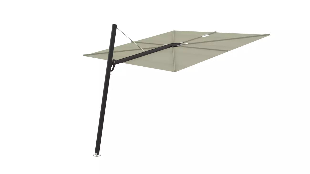 Umbrosa spectra 80 fw