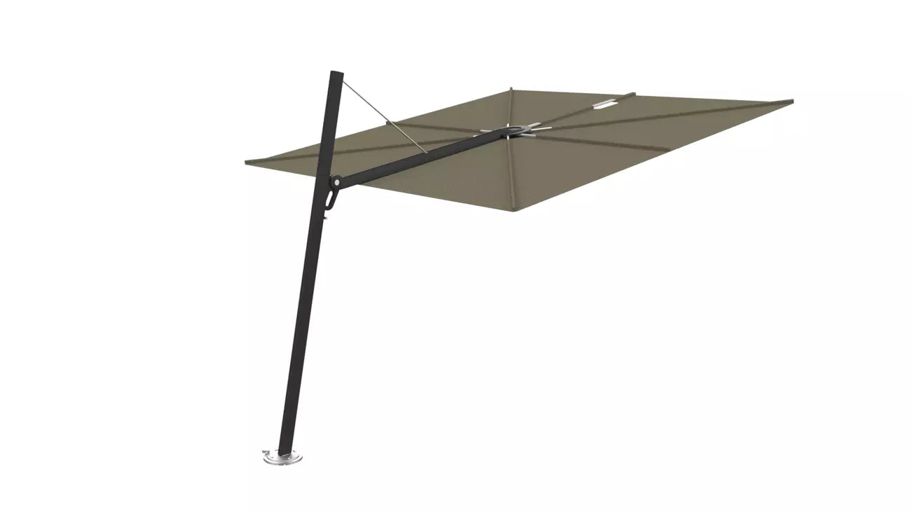 Umbrosa spectra 80 fw