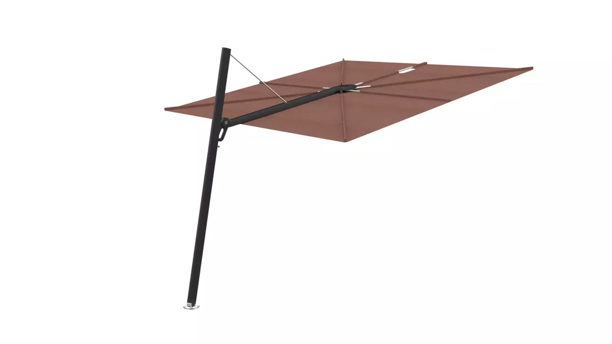 Umbrosa spectra 80 fw