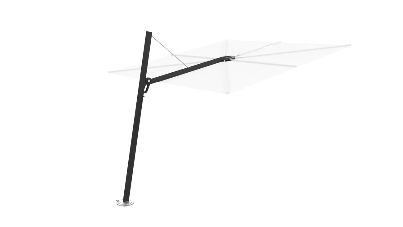 Umbrosa spectra 80 fw