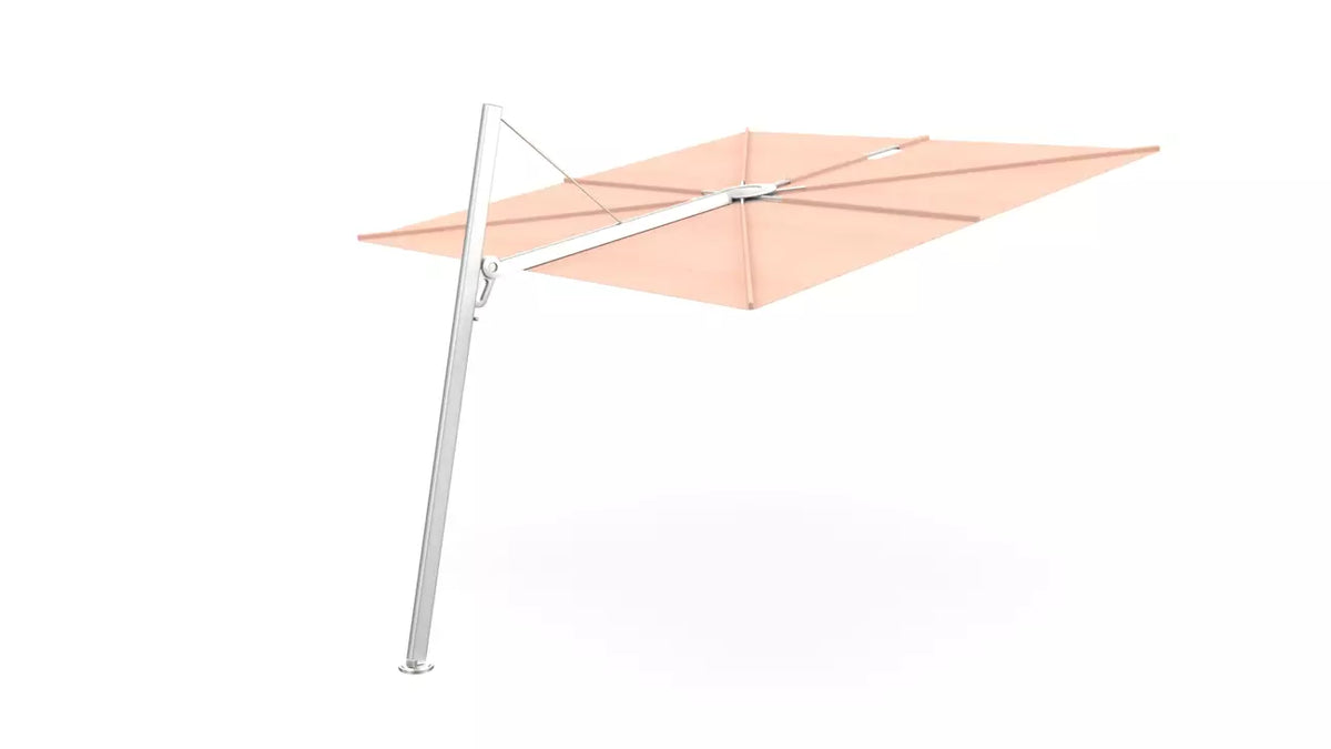Umbrosa spectra 80 fw