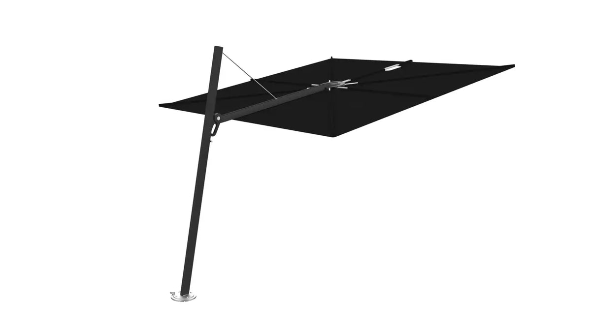 Umbrosa spectra 80 fw